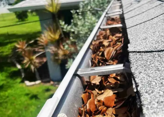 Lake Grove gutter cleaning home page